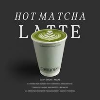 Hot Matcha Latte